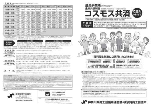 コスモス共済パンフ_商子でない表紙_PDF.pdf