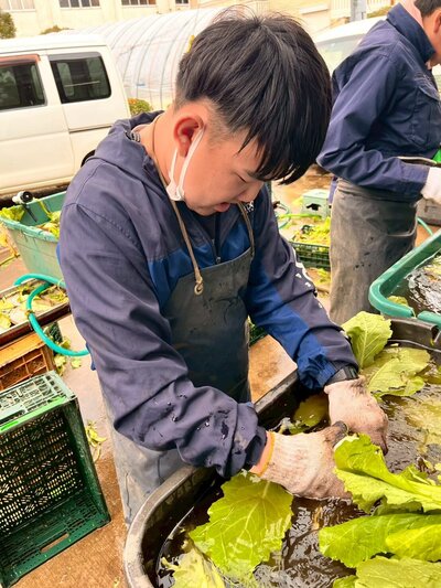 LINE_ALBUM_就業体験　鈴也ファーム2026.4.1〜2_260519_45.jpg