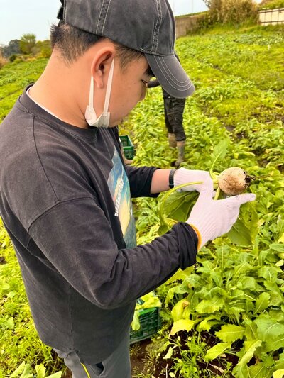 LINE_ALBUM_就業体験　鈴也ファーム2026.4.1〜2_260519_2.jpg