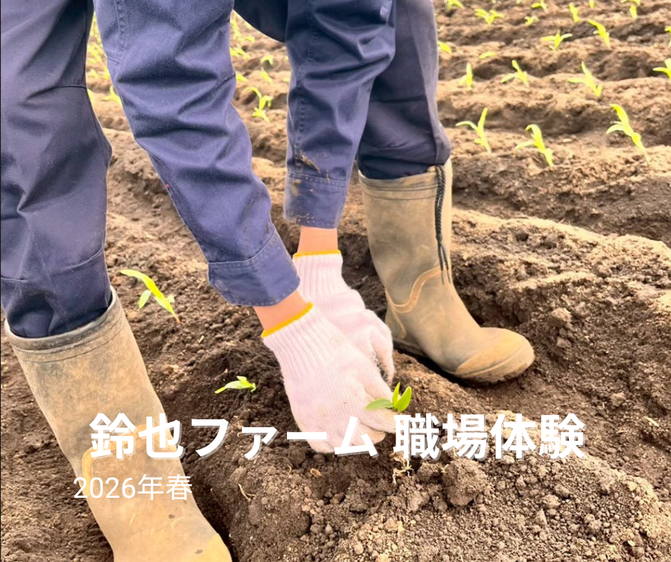 https://yokosukacci.com/onestep/images/c4ea1605d870d10257950e0cc0317adc2b044428.png