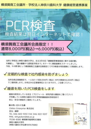 PCR.jpg